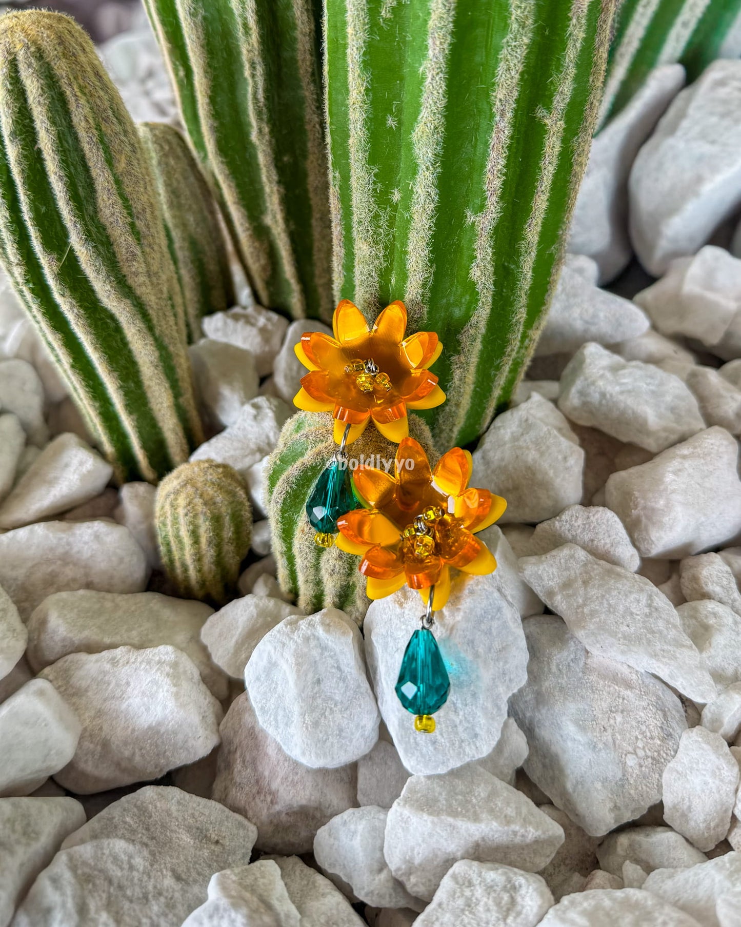 Flor de Cactus