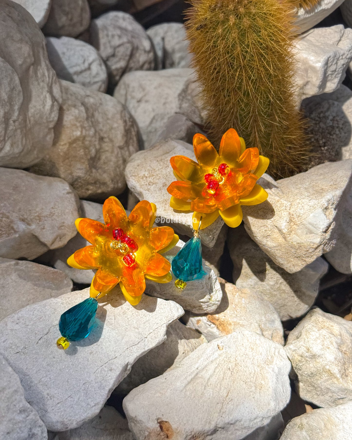 Flor de Cactus